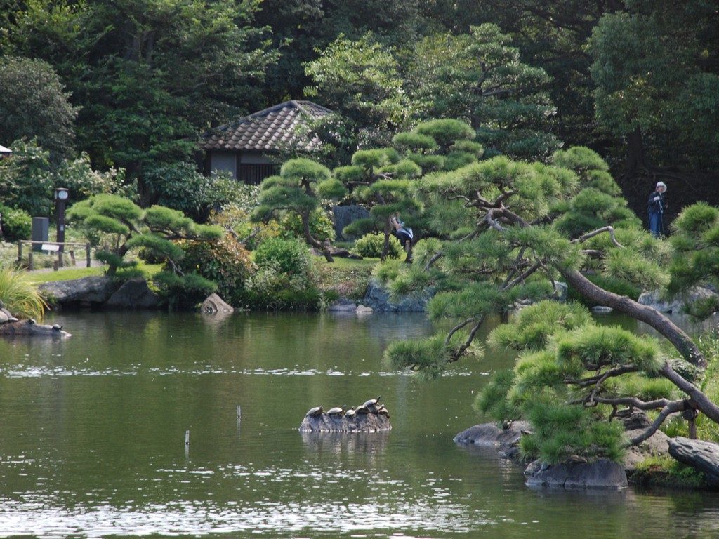 清澄庭園
